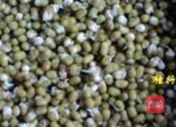 自发绿豆芽的做法图解5