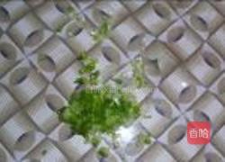 咖喱土豆饼的做法图解11