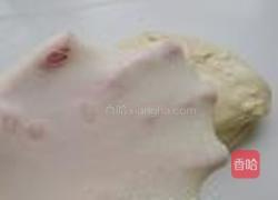 汤种迷你土司的做法图解8