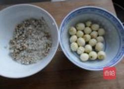 菊花莲子米糊的做法图解5