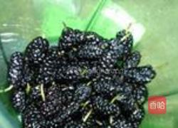 桑葚冻芝士的做法图解9