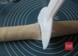 圆白菜鲜肉锅贴的做法图解14