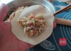 圆白菜鲜肉锅贴的做法图解19