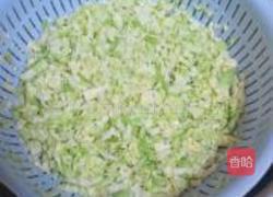 圆白菜鲜肉锅贴的做法图解6