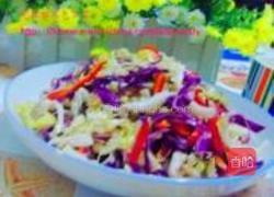 彩椒双色甘蓝卷饼的做法图解16