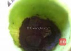 什锦酸奶煲的做法图解2