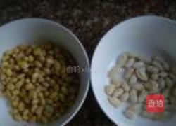 花生豆浆的做法图解4