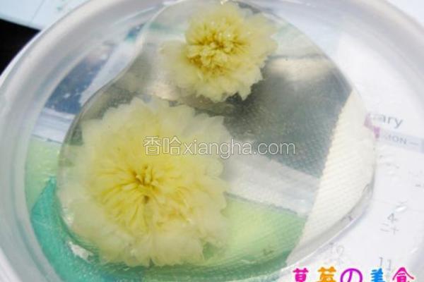 菊花茶冻
