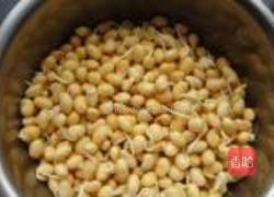 自制黄豆芽的做法图解5