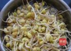 自制黄豆芽的做法图解7