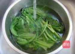 小白菜海米包的做法图解3