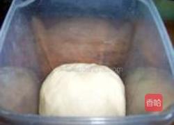 蜂蜜小餐包的做法图解4