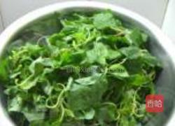 苋菜馅水饺的做法图解2