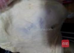 香肠面包的做法图解3