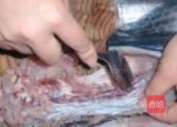 鲅鱼馅饺子的做法图解2