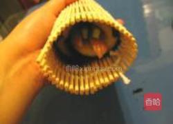 海苔蛋糕寿司卷的做法图解10