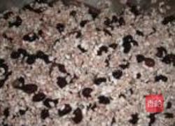 黑豆蜜枣香粽的做法图解9