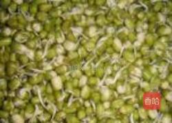 自制绿豆芽的做法图解7
