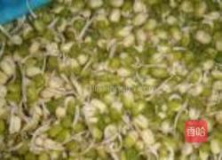 自制绿豆芽的做法图解10