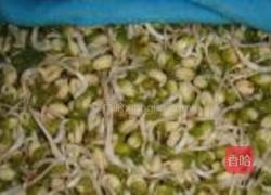 自制绿豆芽的做法图解11