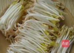 自制绿豆芽的做法图解14