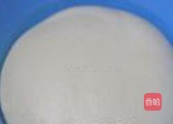 港式牛奶排包的做法图解4