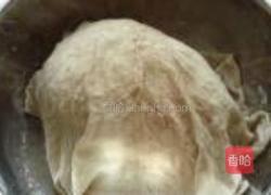 芸豆猪肉水饺的做法图解9