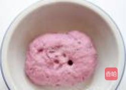 玫瑰花蛋糕的做法图解13