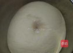 枣泥菊花包的做法图解3