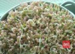 绿豆芽的做法图解5