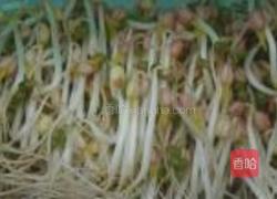 绿豆芽的做法图解6