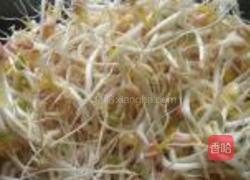 绿豆芽的做法图解7