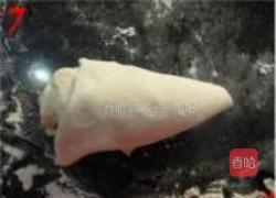 紫菜椒盐家常饼的做法图解7