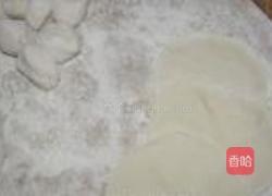 荠菜素饺子的做法图解4