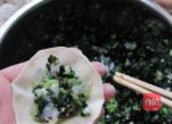 油菜虾仁水饺的做法图解6