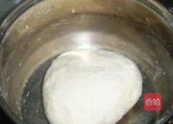 香菜肉馅大包子的做法图解7