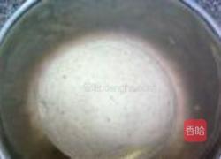 小麦胚芽刀切馒头的做法图解6