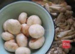 双菇海蛎子锅贴的做法图解1