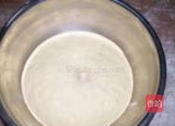 荠菜包子的做法图解4