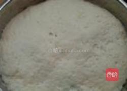 猪肉白菜生煎包的做法图解8