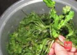 荠菜素饺子的做法图解2