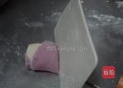 双色玫瑰的做法图解10