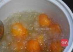 木瓜炖雪蛤的做法图解11
