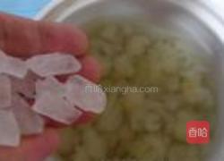 木瓜炖雪蛤的做法图解5