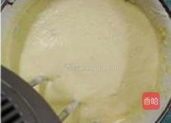 伏特加蔓越莓冰激凌的做法图解11