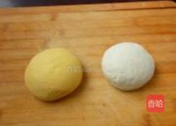 富贵菊花图的做法图解6