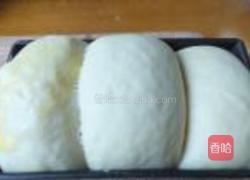 鸡蛋吐司的做法图解6