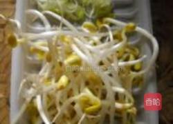 紫菜豆芽饼的做法图解2