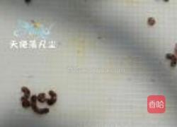 兔子便当的做法图解12