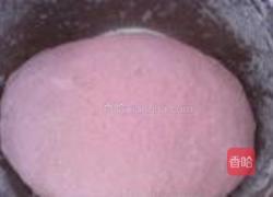 苋菜汁儿水饺的做法图解4